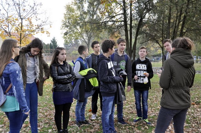 csibetábor az aranyban 12